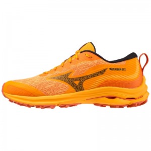 Black Men's Mizuno Wave Rider GTX Running Shoes | ABN018297