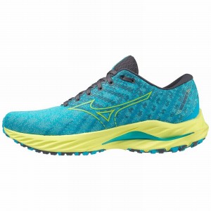 Blue Men's Mizuno Wave Inspire 19 Running Shoes | MKP692018