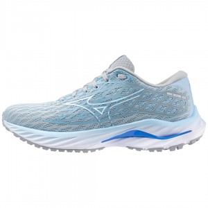 Blue Women's Mizuno Wave Inspire 20 Running Shoes | AXQ847520