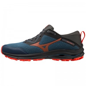 Blue / Black Men's Mizuno Wave Rider TT Trail Running Shoes | RZE648320