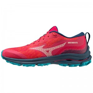 Blue / Blue Women's Mizuno Wave Rider GTX Running Shoes | SXQ479210