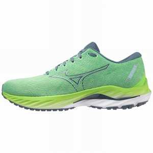 Blue / Green Men's Mizuno Wave Inspire 19 Running Shoes | TEW320874