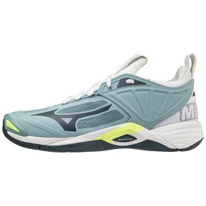 Blue / White Men's Mizuno Wave Momentum 2 Volleyball Shoes | DPF549706