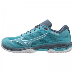 Blue / White / Blue Men's Mizuno Wave Exceed Light CC Tennis Shoes | DWE378205