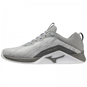 Grey White Men's Mizuno Ts-01 Training Shoes | LNZ548623