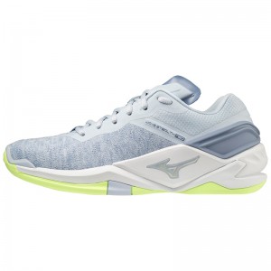 Grey Women's Mizuno Wave Stealth Neo Handball Shoes | HTM326509