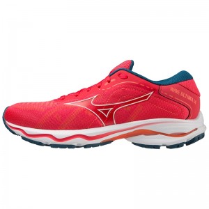 Pink / White / Blue Women's Mizuno Wave Ultima 14 Running Shoes | PAM175903