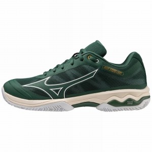 White Men's Mizuno Wave Exceed Light CC Tennis Shoes | EHT159624