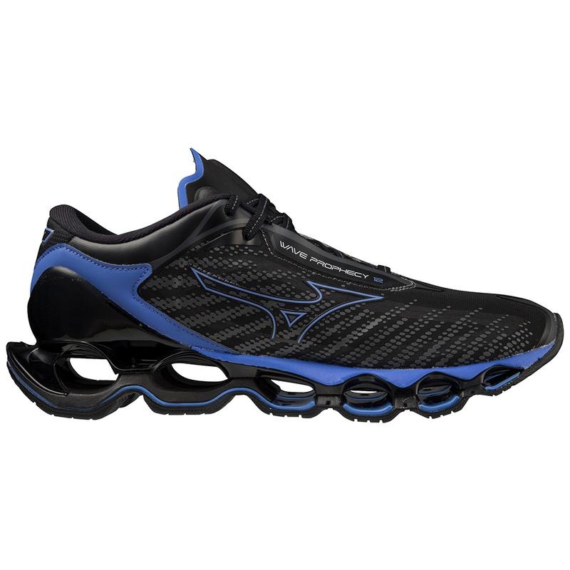 Black / Blue Men's Mizuno Wave Prophecy 12 Running Shoes | MBF327461