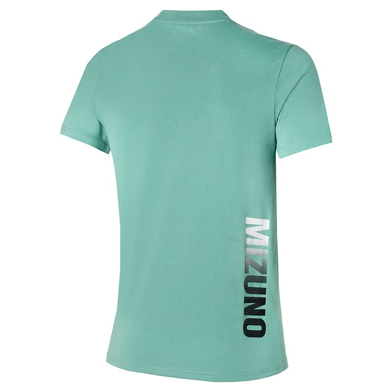 Blue Men's Mizuno Tee T Shirts | GOV270358