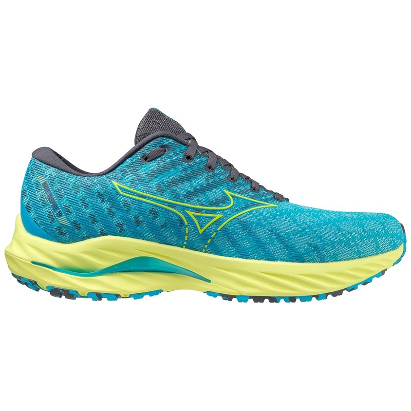 Blue Men's Mizuno Wave Inspire 19 Running Shoes | MKP692018