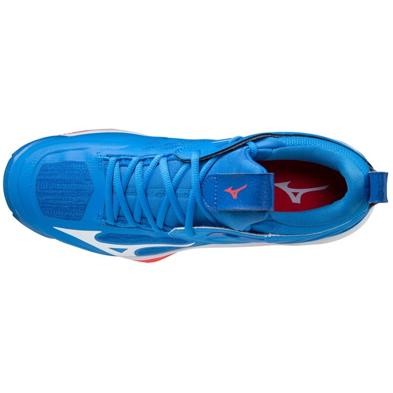 Blue Men's Mizuno Wave Momentum 2 Volleyball Shoes | EBA375964