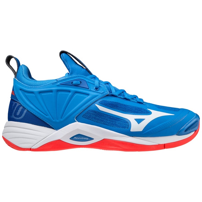 Blue Men's Mizuno Wave Momentum 2 Volleyball Shoes | EBA375964