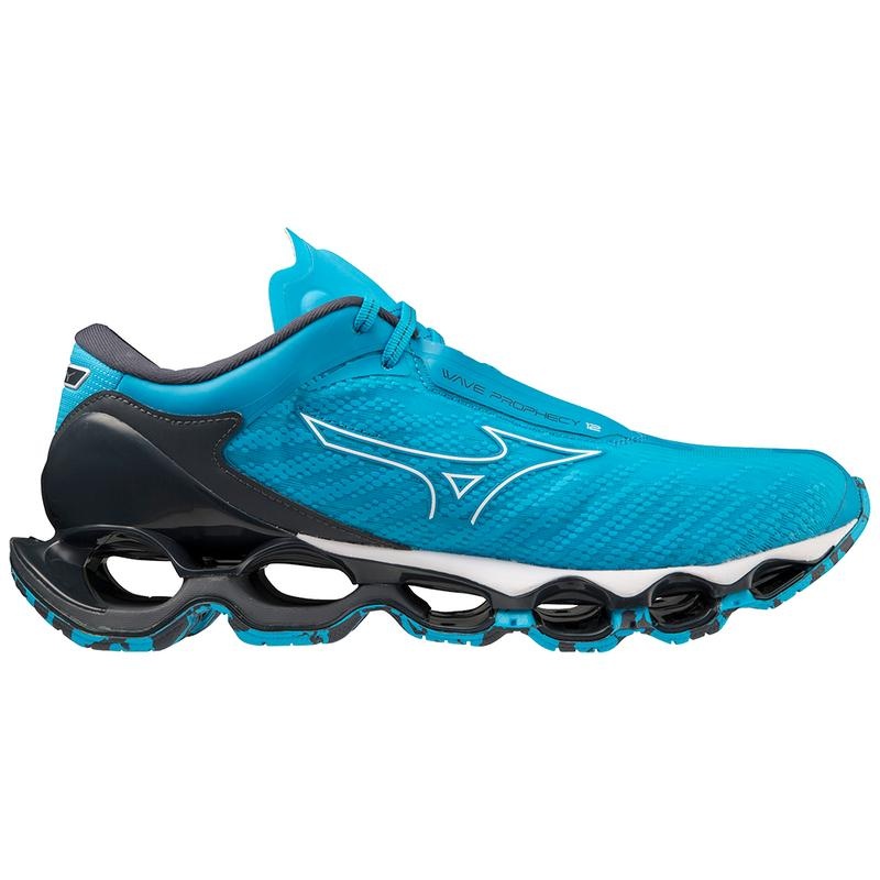 Blue Men's Mizuno Wave Prophecy 12 Running Shoes | ZCF706193