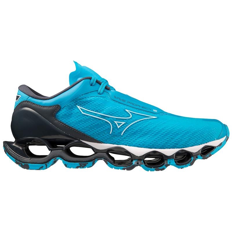 Blue Men's Mizuno Wave Prophecy 12 Running Shoes | ZCF706193