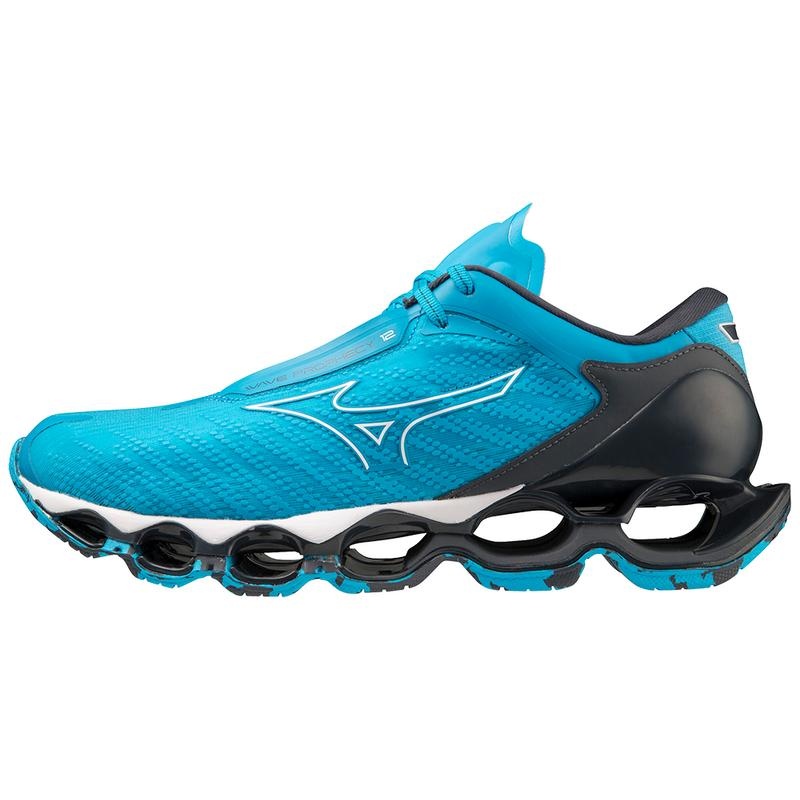 Blue Men\'s Mizuno Wave Prophecy 12 Running Shoes | ZCF706193