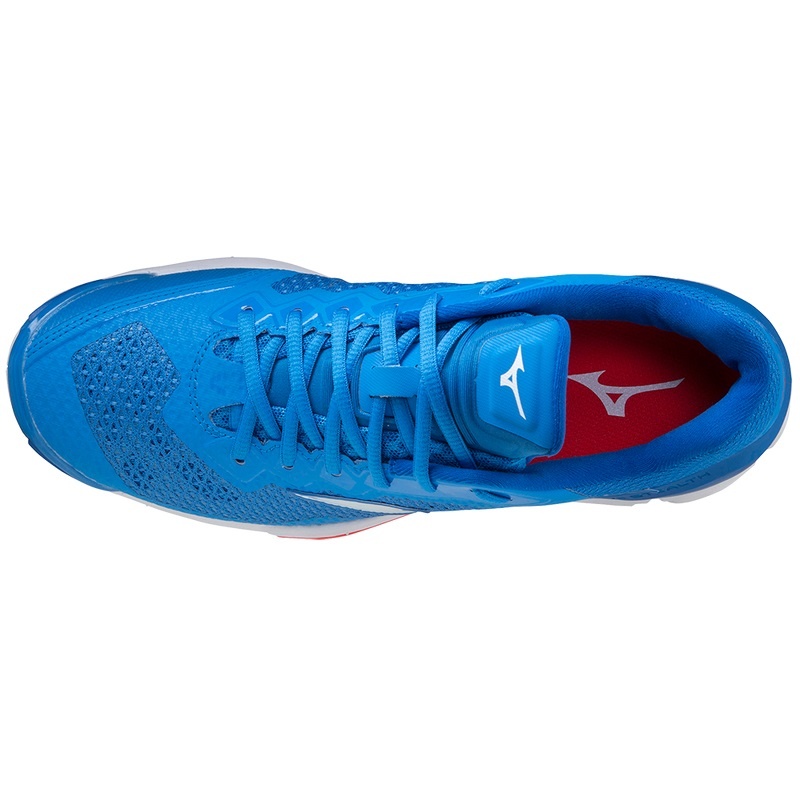 Blue Men's Mizuno Wave Stealth V Handball Shoes | QRH719624