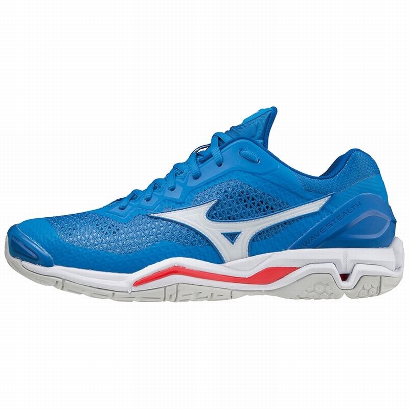 Blue Men\'s Mizuno Wave Stealth V Handball Shoes | QRH719624