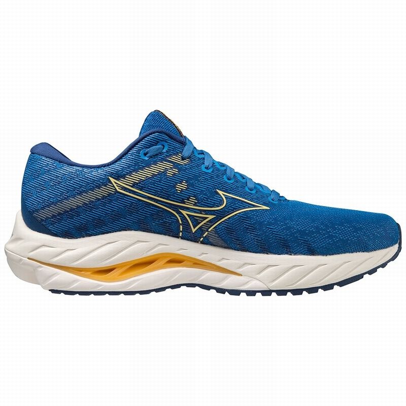 Blue / Blue Men's Mizuno Wave Inspire 19 Running Shoes | XBV598710