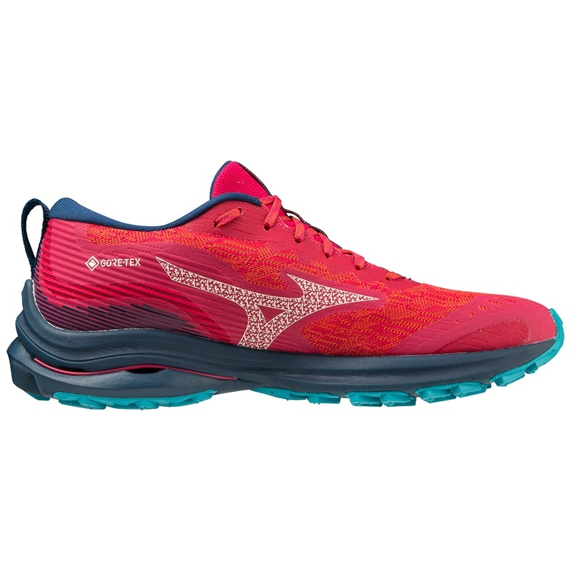 Blue / Blue Women's Mizuno Wave Rider GTX Running Shoes | SXQ479210