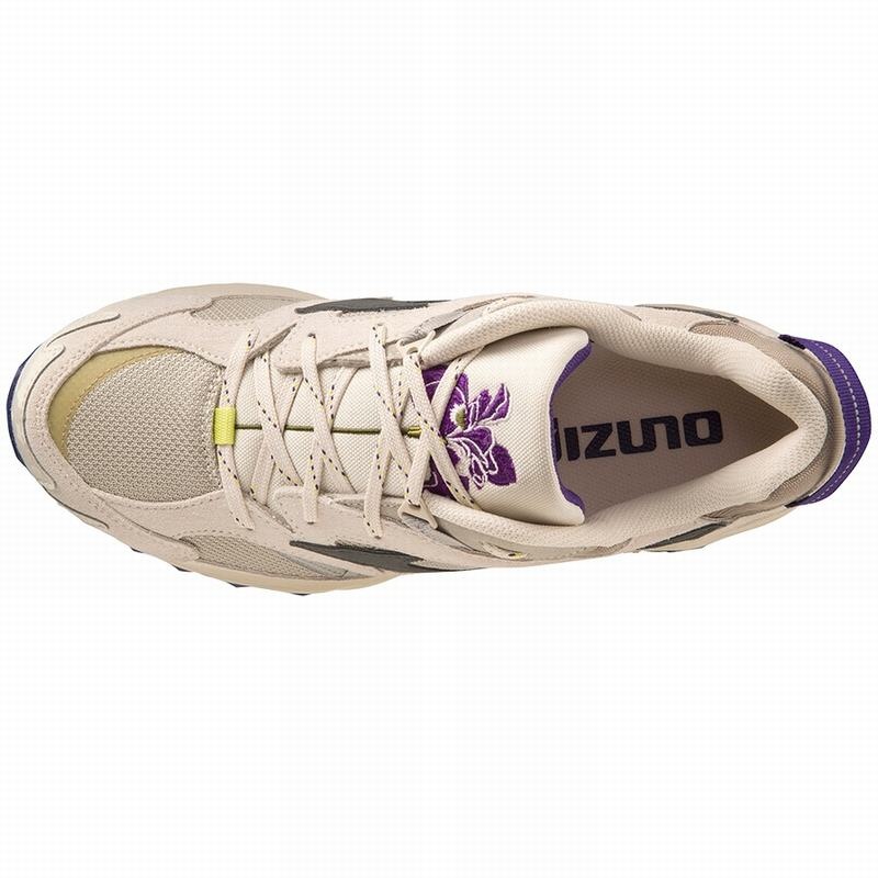 Brown / Dark Grey / Yellow Purple Women's Mizuno Wave Mujin Tl Sneakers | DQW924163