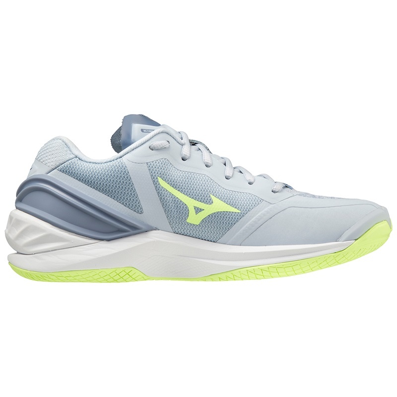 Grey Women's Mizuno Wave Stealth Neo Handball Shoes | HTM326509