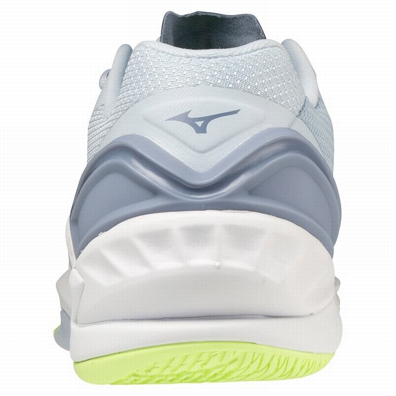 Grey Women's Mizuno Wave Stealth Neo Handball Shoes | HTM326509