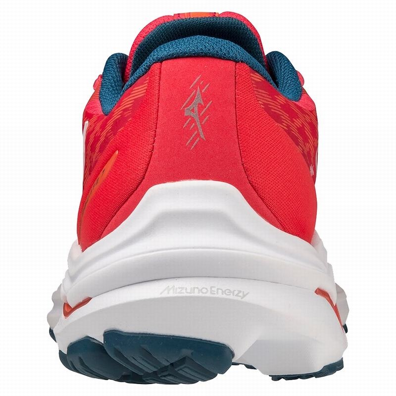 Pink / White / Blue Women's Mizuno Wave Equate 7 Running Shoes | HTG038264