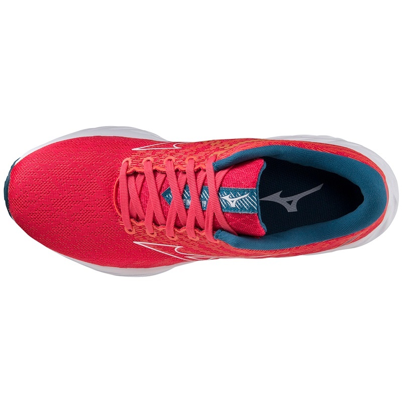 Pink / White / Blue Women's Mizuno Wave Inspire 19 Running Shoes | DHF293685