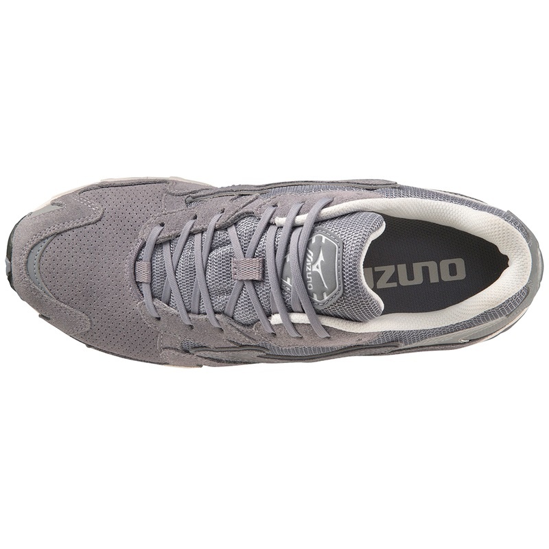 Silver Women's Mizuno Wave Rider 10 Premium Sneakers | JLD315769